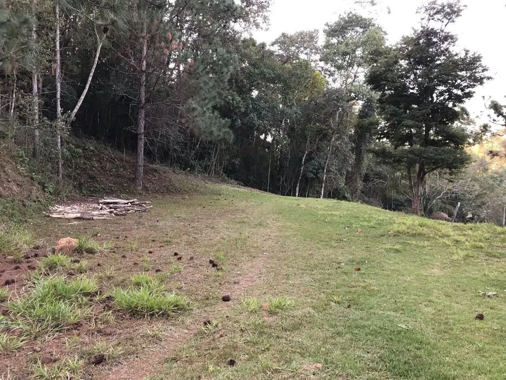 Sítio, 1 quarto, 3 hectares - Foto 12