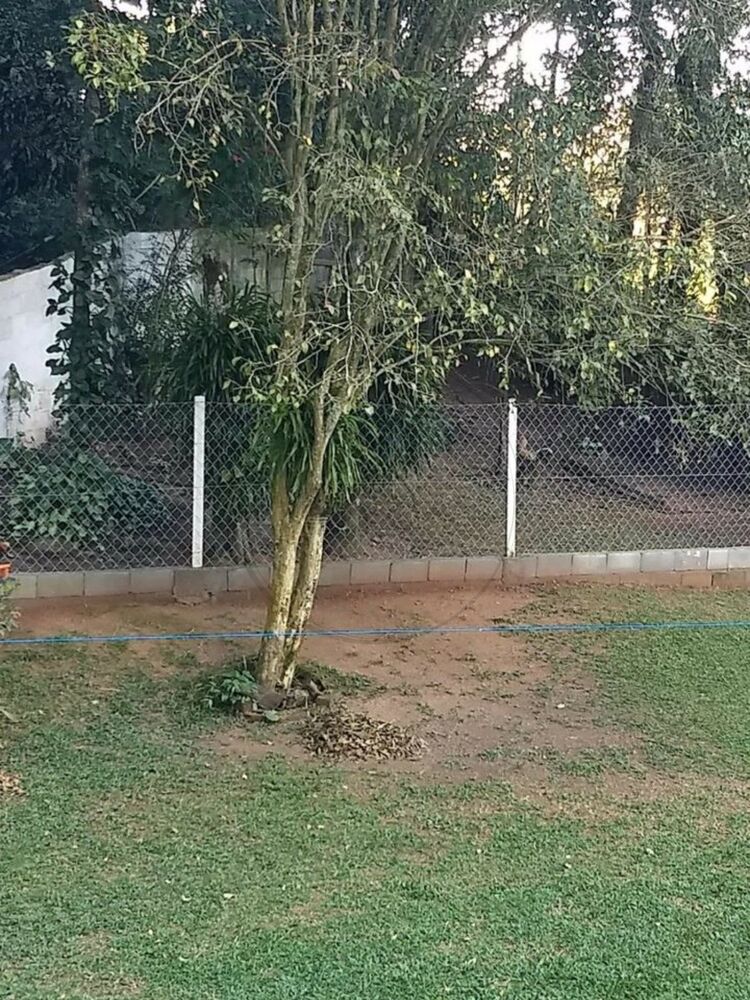 Chácara, 3 quartos, 1800 m² - Foto 1