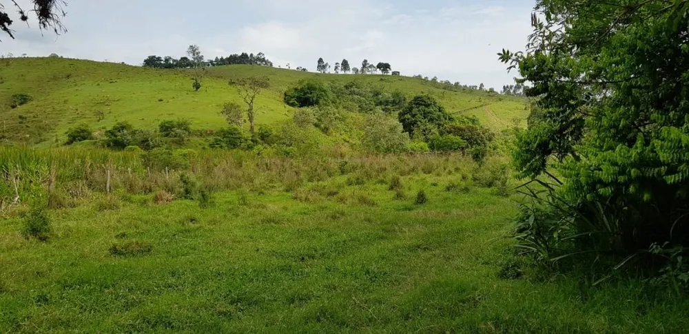 Sítio, 5 quartos, 27 hectares - Foto 7