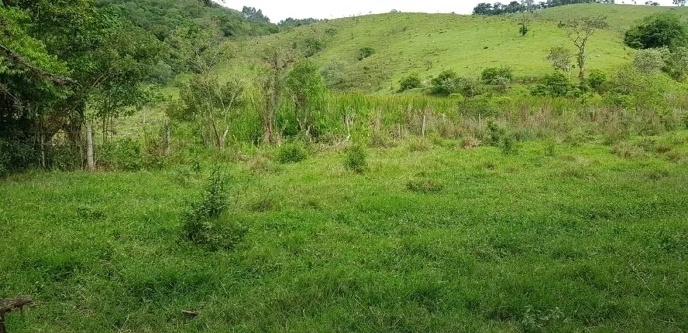 Sítio, 5 quartos, 27 hectares - Foto 8