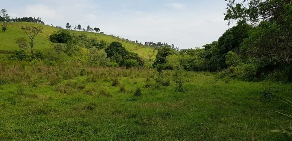 Sítio, 5 quartos, 27 hectares - Foto 14