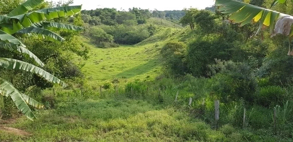 Sítio, 5 quartos, 27 hectares - Foto 13