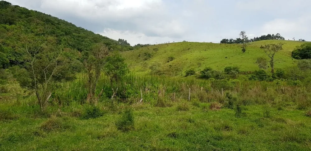 Sítio, 5 quartos, 27 hectares - Foto 10