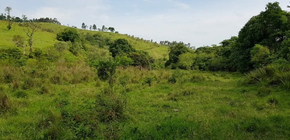 Sítio, 5 quartos, 27 hectares - Foto 4