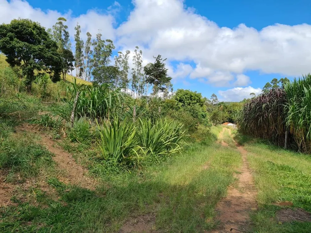 Sítio, 2 quartos, 484 hectares - Foto 4