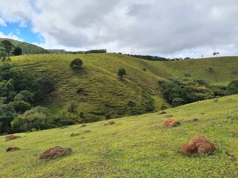 Sítio, 2 quartos, 484 hectares - Foto 14