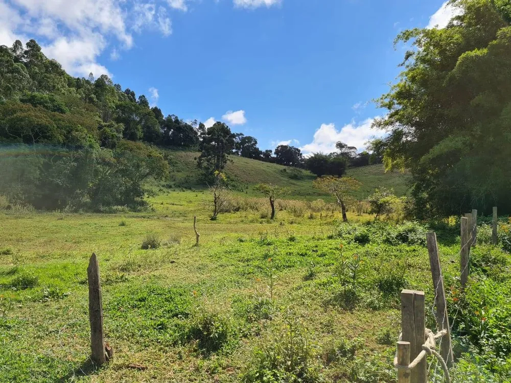 Sítio, 2 quartos, 484 hectares - Foto 7