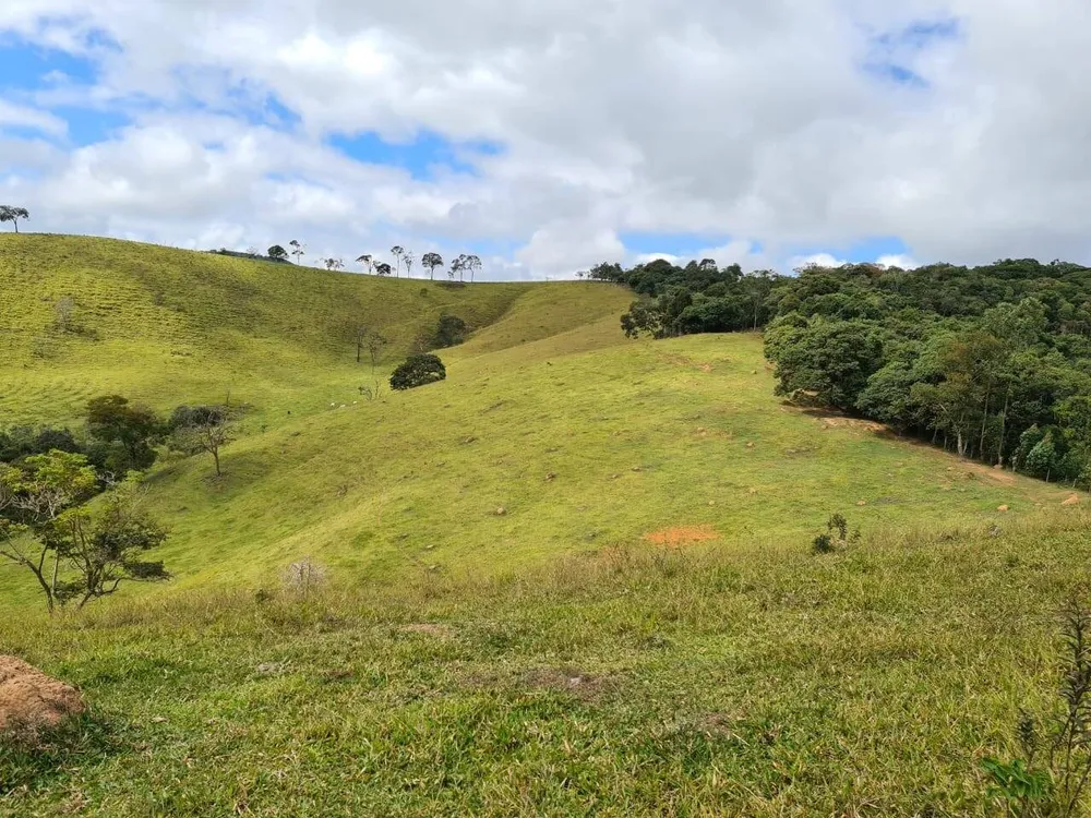 Sítio, 2 quartos, 484 hectares - Foto 3