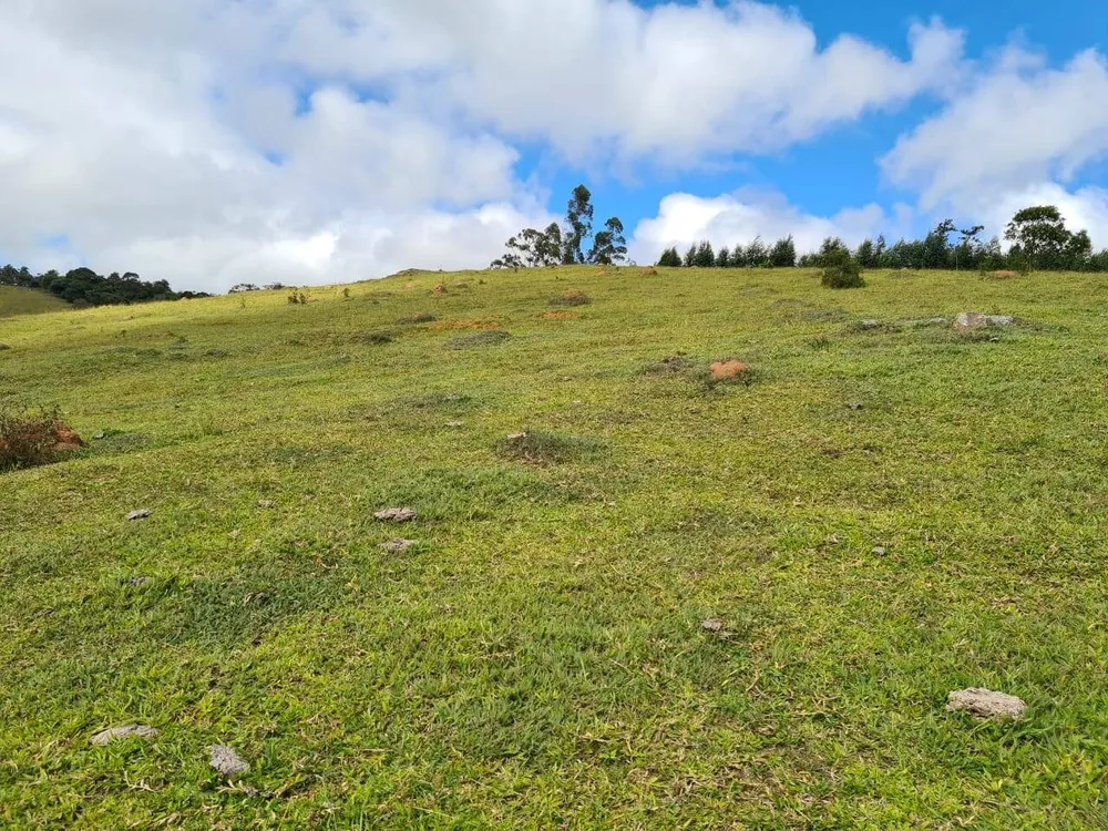 Sítio, 2 quartos, 484 hectares - Foto 15