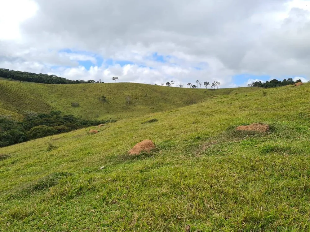Sítio, 2 quartos, 484 hectares - Foto 10