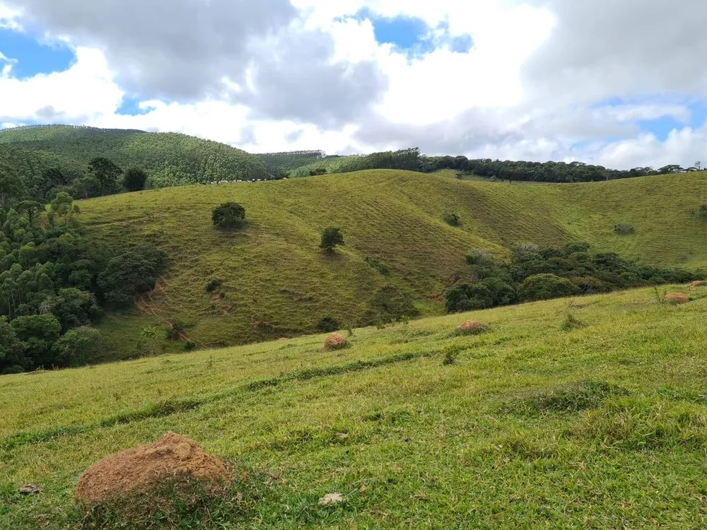 Sítio, 2 quartos, 484 hectares - Foto 4