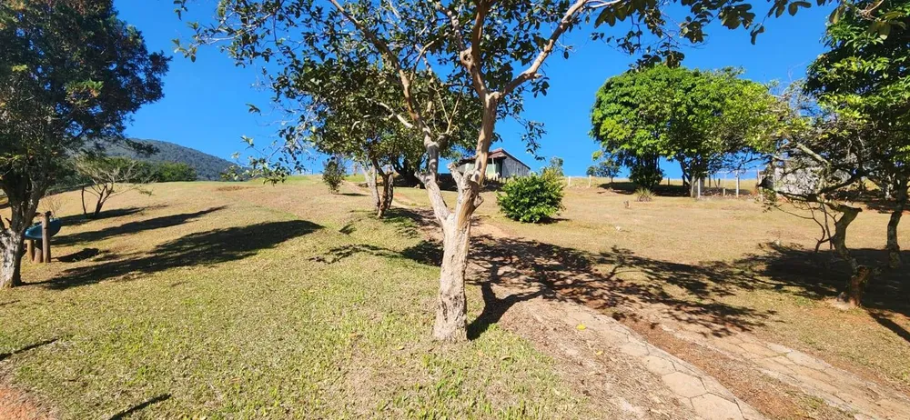 Sítio, 7 quartos, 3 hectares - Foto 16