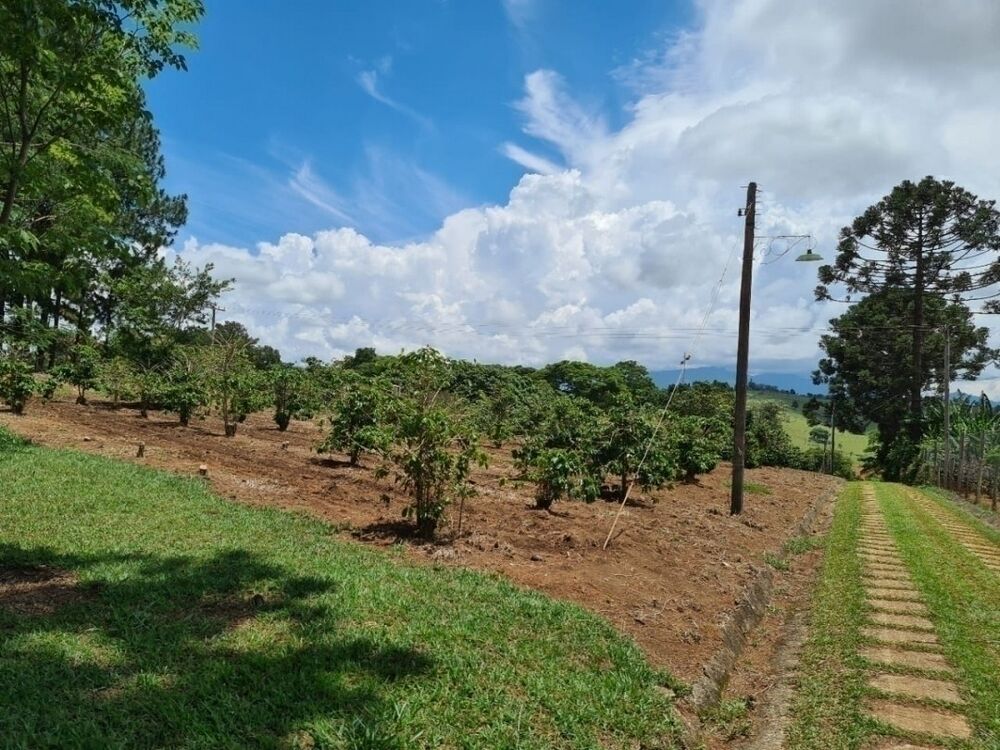 Chácara, 5 quartos, 1 hectares - Foto 4