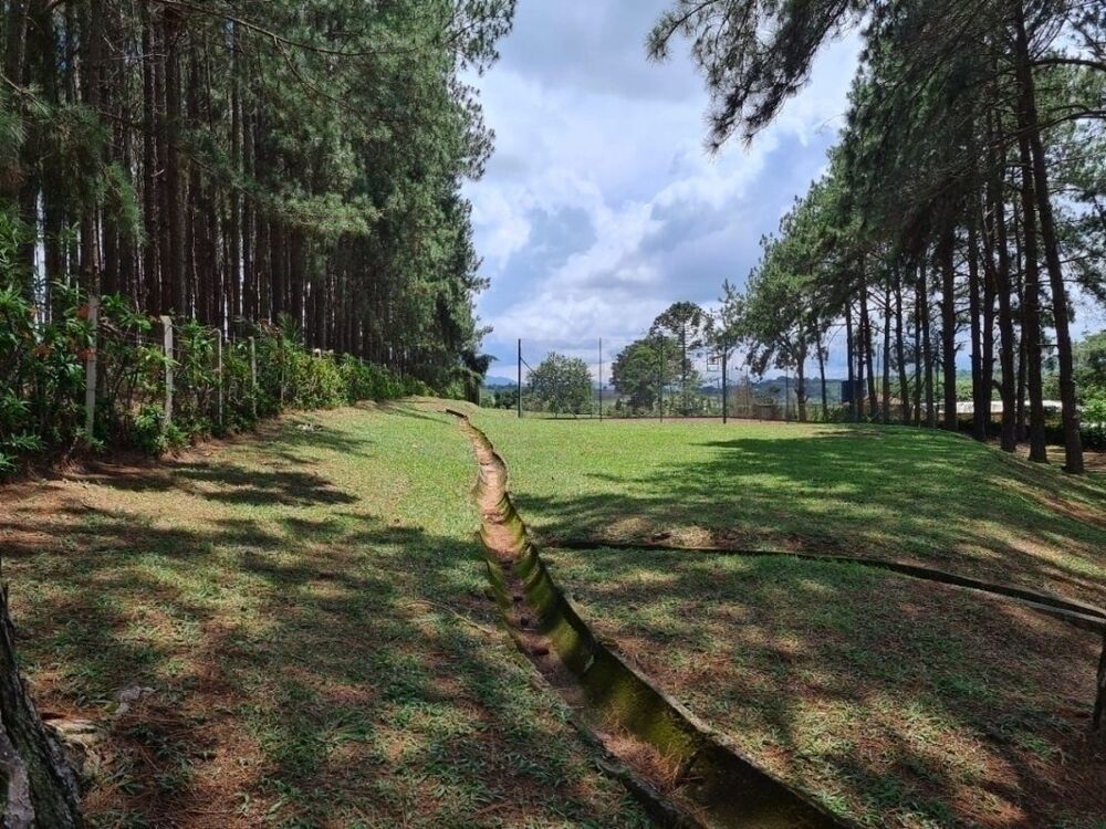 Chácara, 5 quartos, 1 hectares - Foto 3