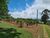 Chácara, 5 quartos, 1 hectares - Foto 3