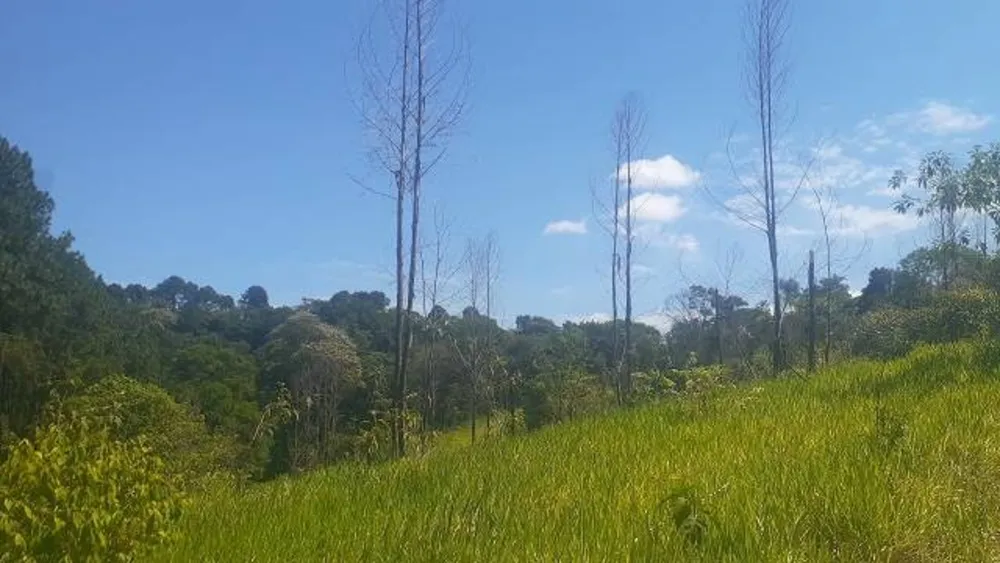 Terreno, 3000 m² - Foto 7