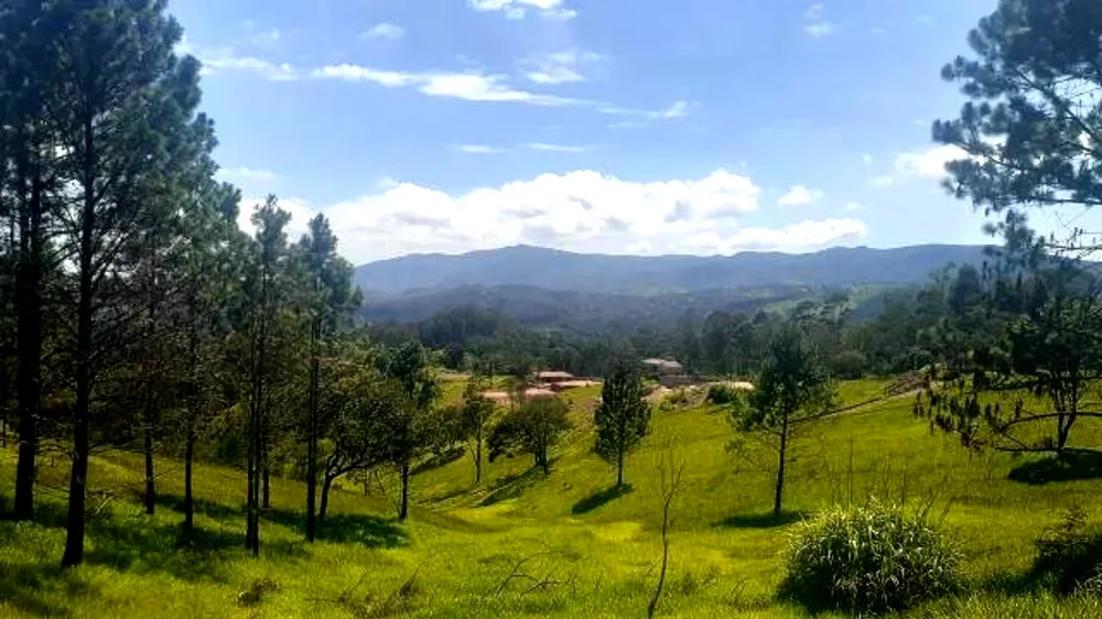 Terreno, 3000 m² - Foto 1