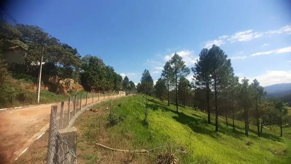 Terreno, 3000 m² - Foto 3