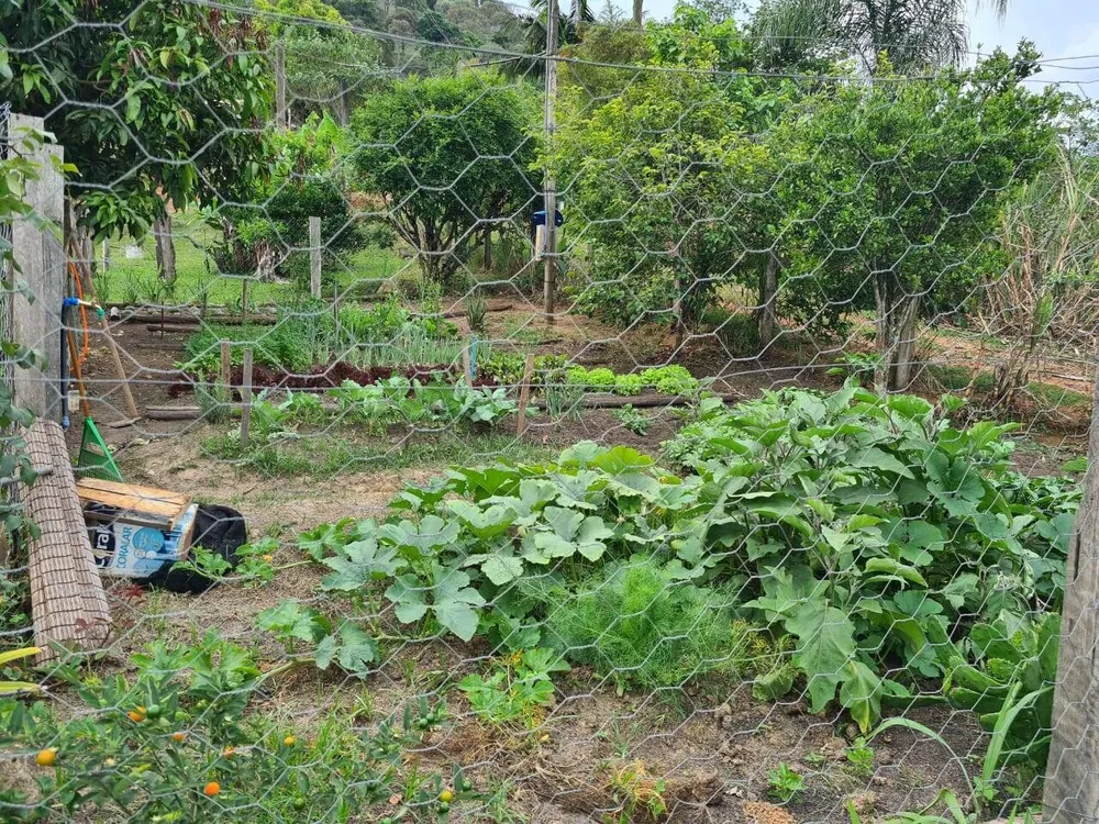 Sítio, 4 quartos, 3 hectares - Foto 15