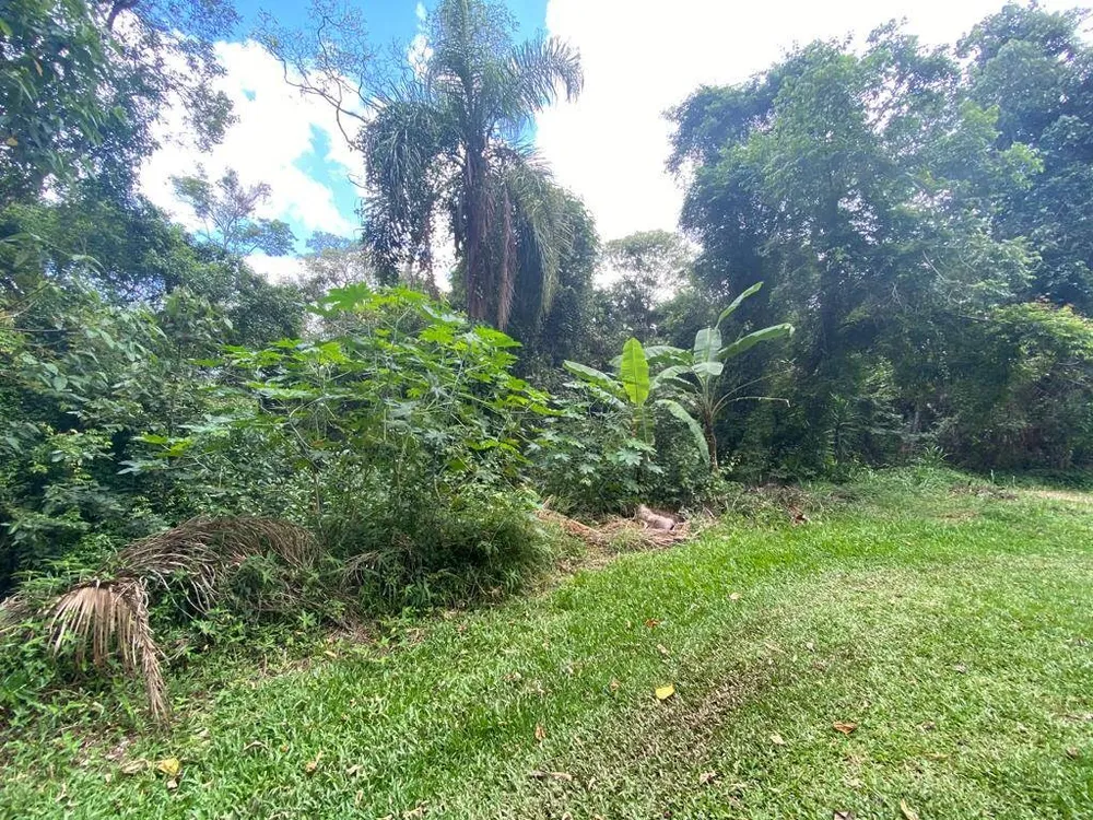 Terreno, 3119 m² - Foto 3