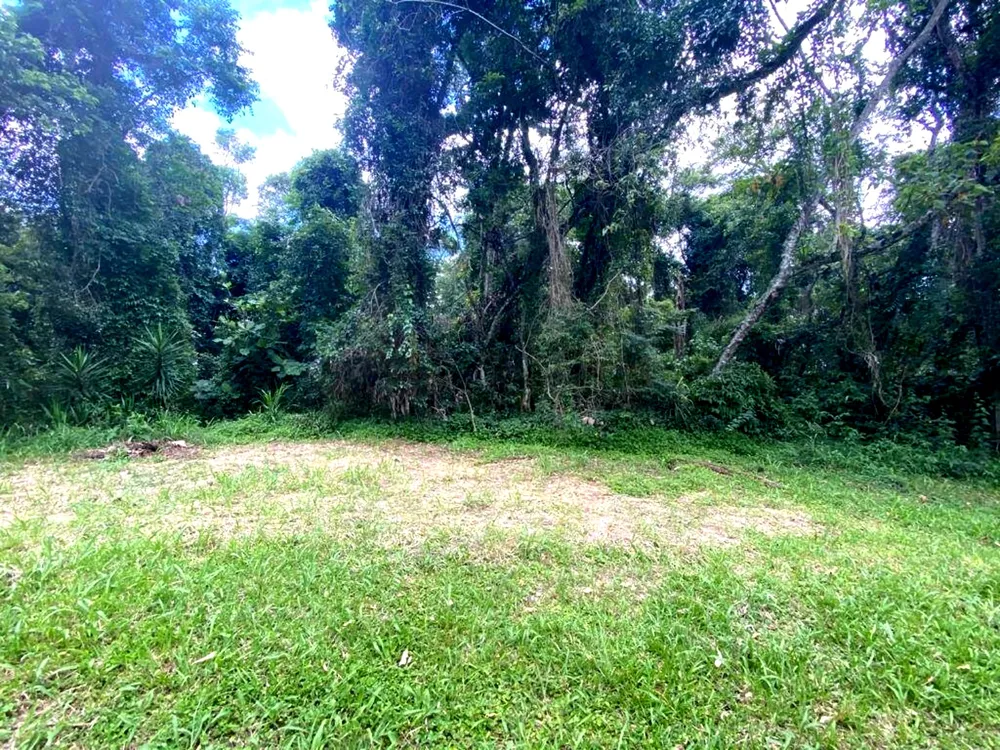 Terreno, 3119 m² - Foto 1
