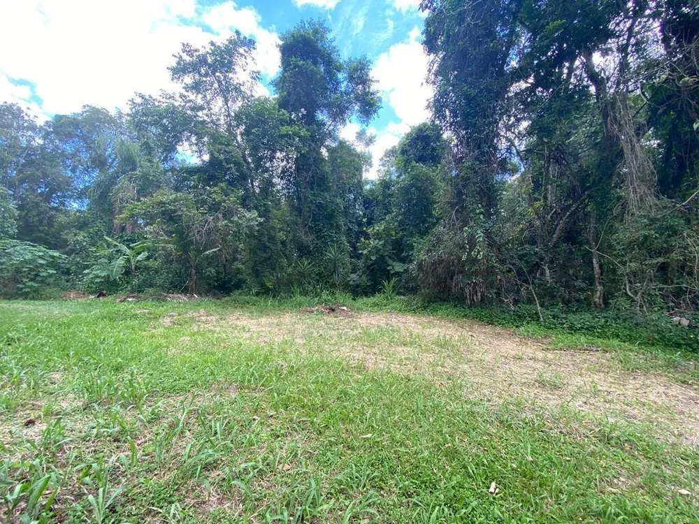 Terreno, 3119 m² - Foto 2