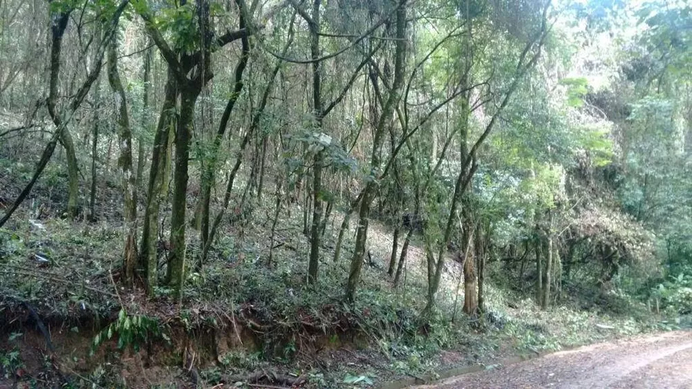 Terreno, 3370 m² - Foto 5