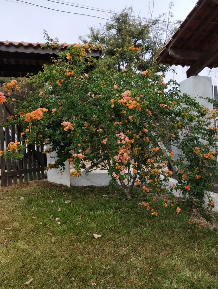 Chácara, 2 quartos, 600 m² - Foto 12