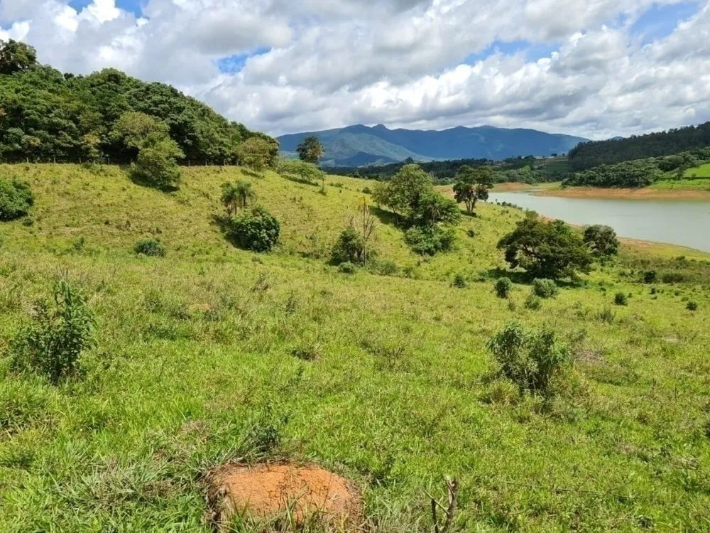 Terreno, 6 hectares - Foto 4