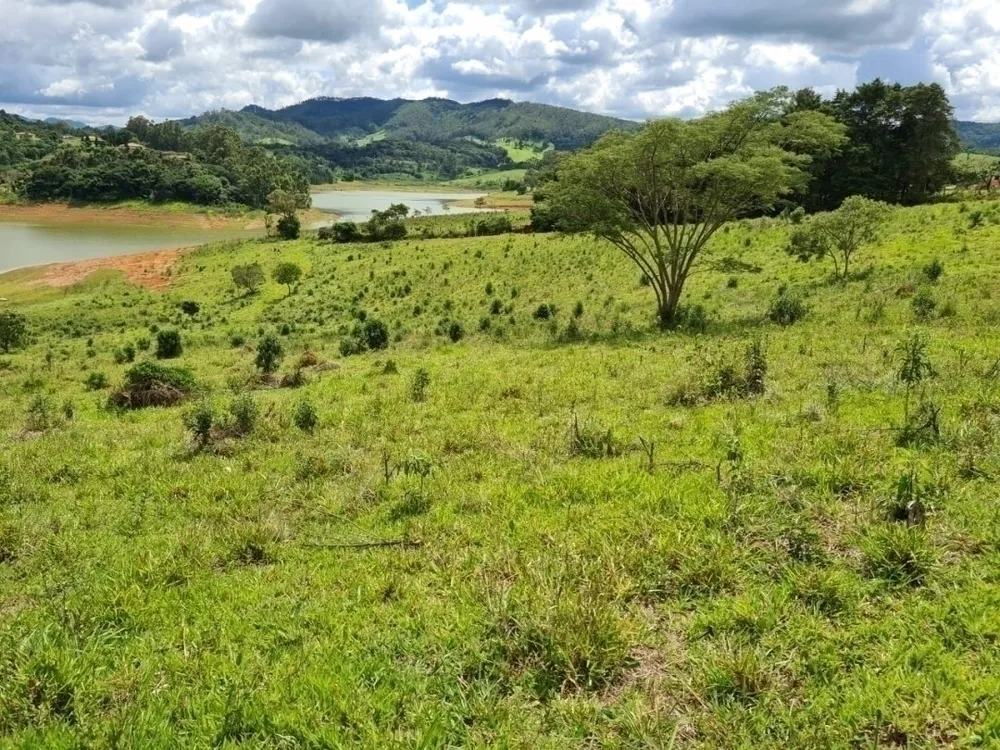 Terreno, 6 hectares - Foto 3