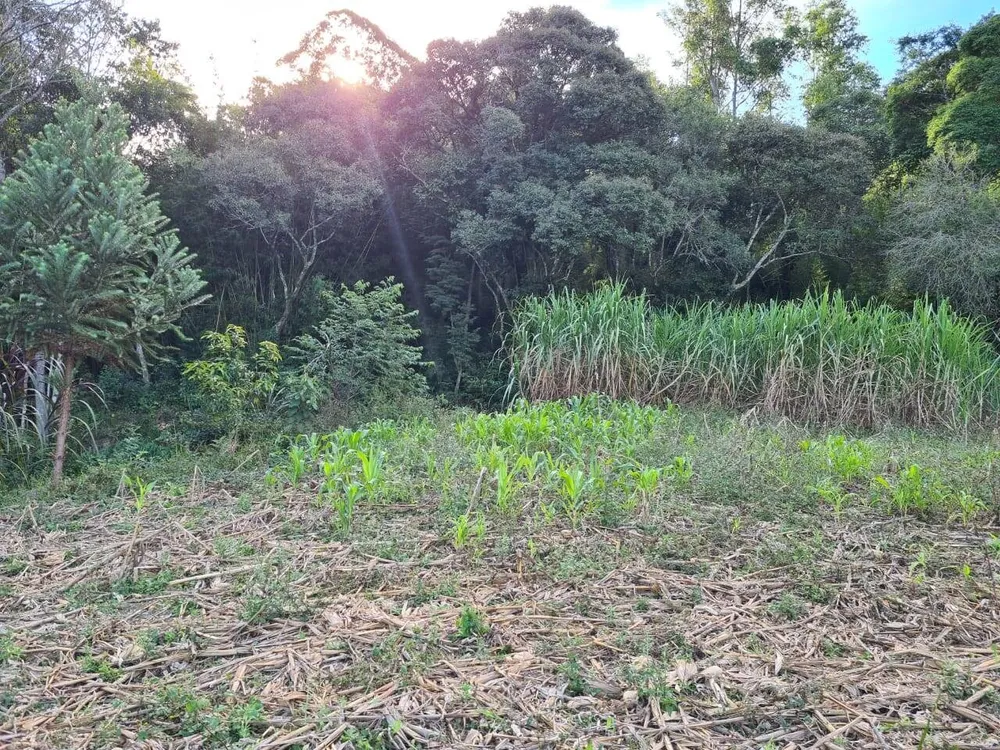 Sítio, 2 quartos, 6 hectares - Foto 9