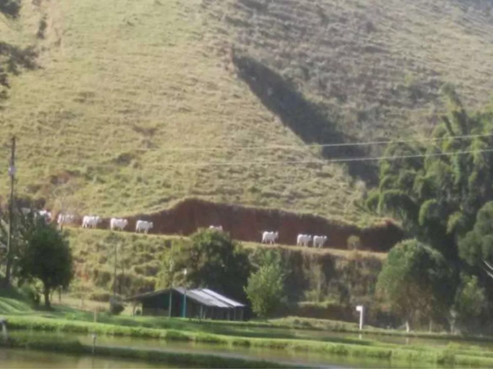 Fazenda, 91 m² - Foto 12