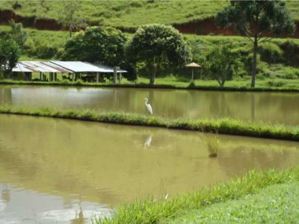 Fazenda, 91 m² - Foto 5