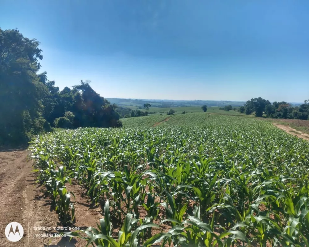 Fazenda à venda - Foto 5