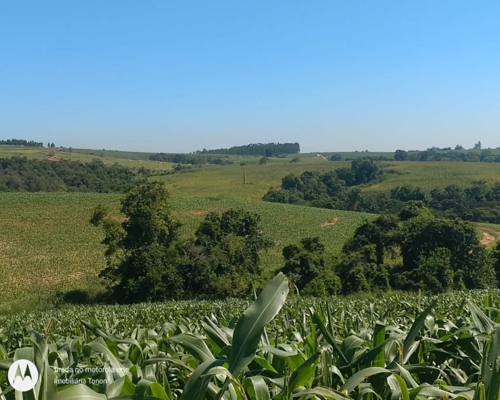 Fazenda à venda - Foto 1