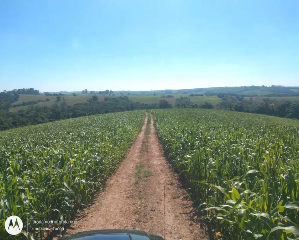 Fazenda à venda - Foto 16