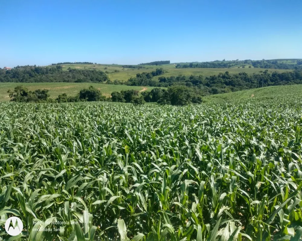 Fazenda à venda - Foto 20