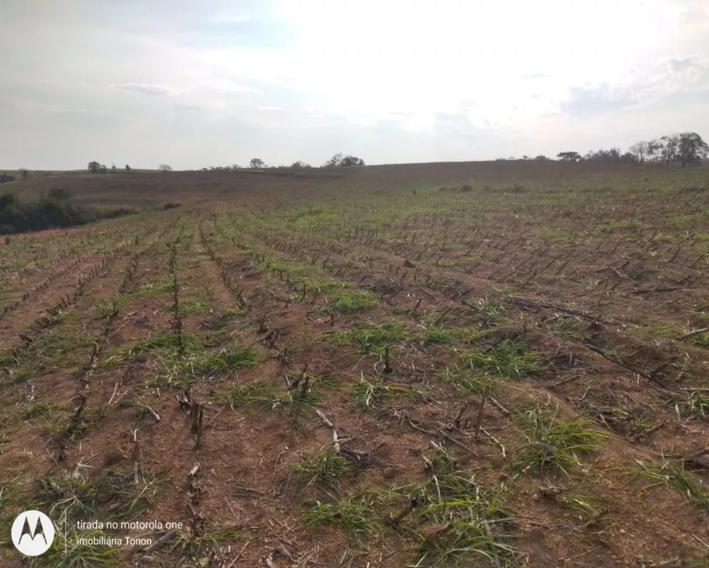 Fazenda à venda - Foto 4