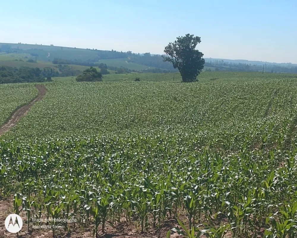 Fazenda à venda - Foto 11