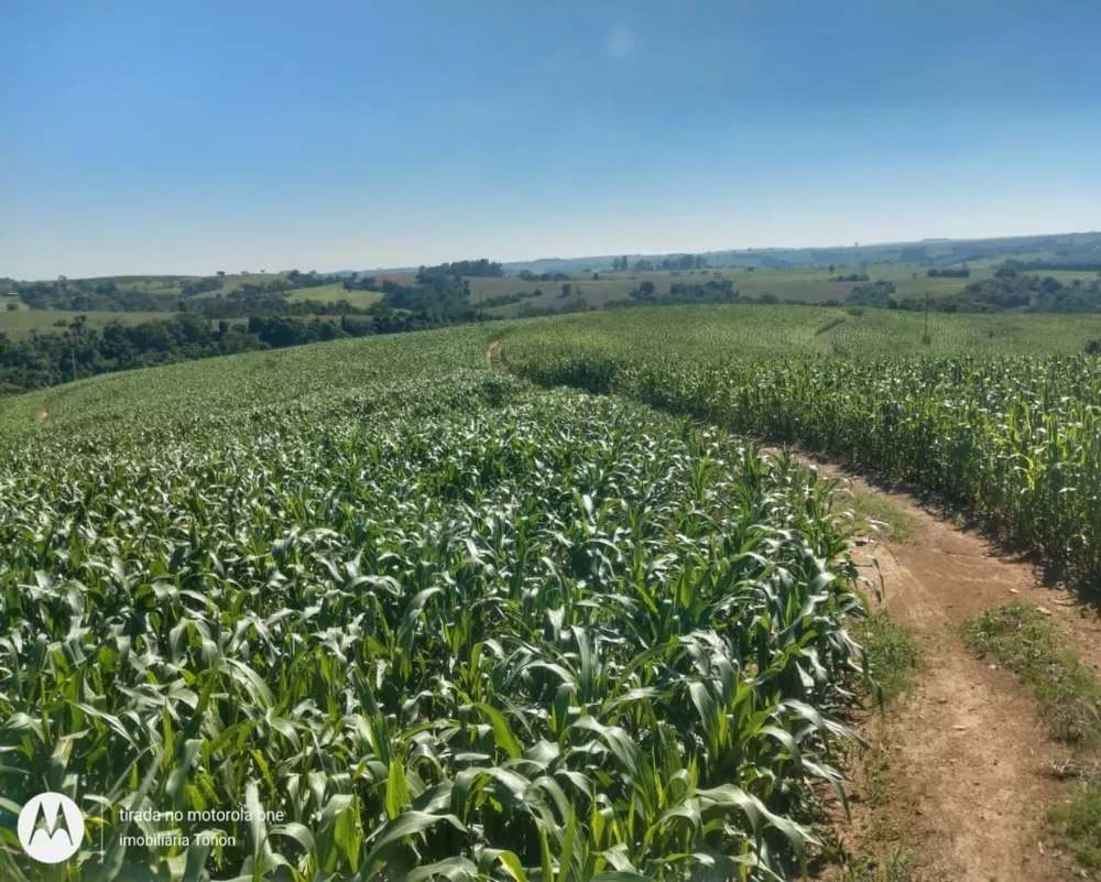 Fazenda à venda - Foto 18