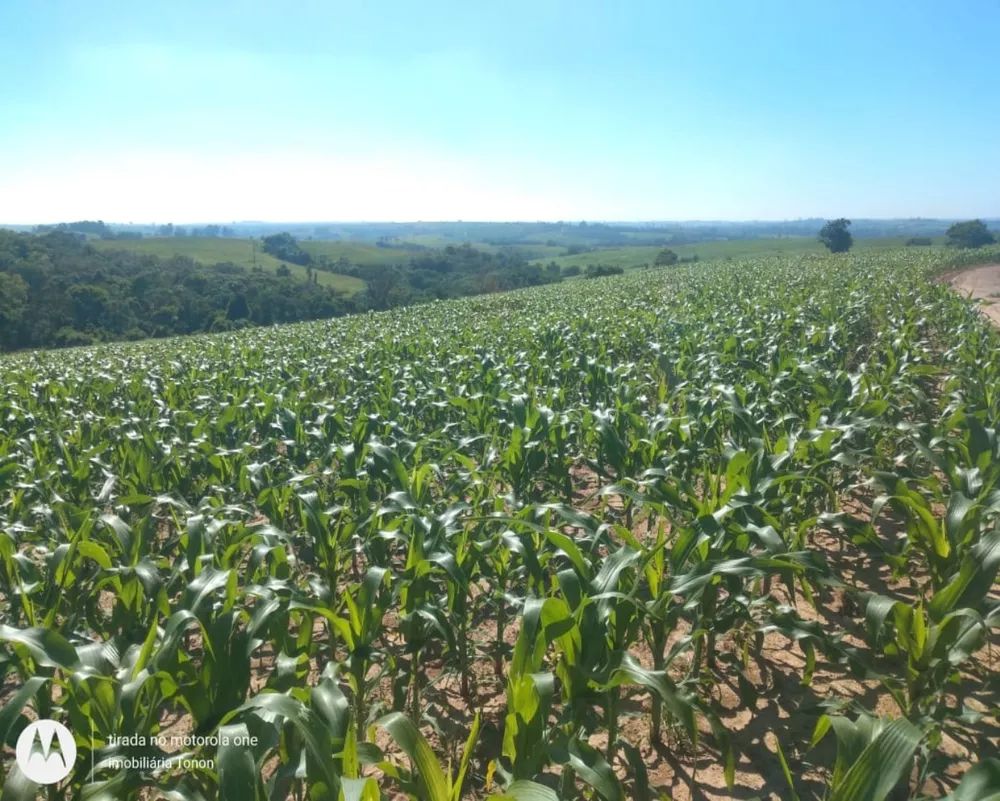 Fazenda à venda - Foto 22