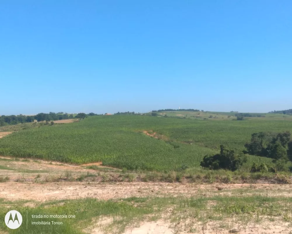 Fazenda à venda - Foto 6