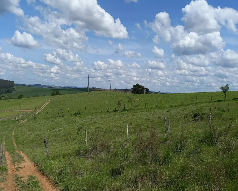 Fazenda à venda - Foto 3