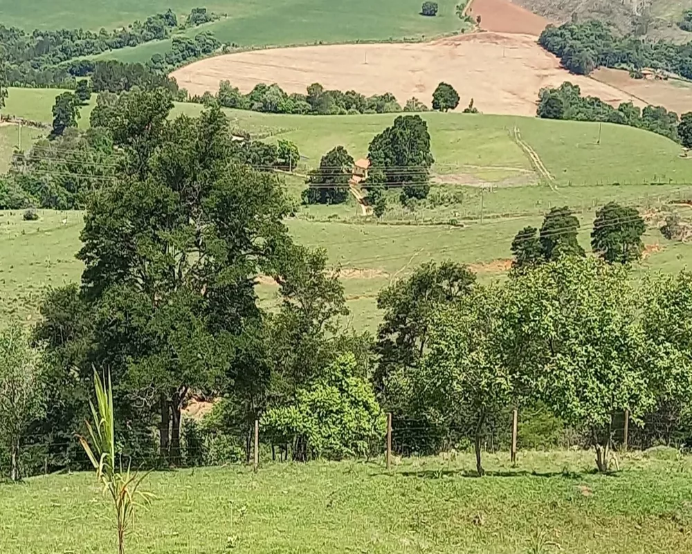 Fazenda à venda - Foto 1