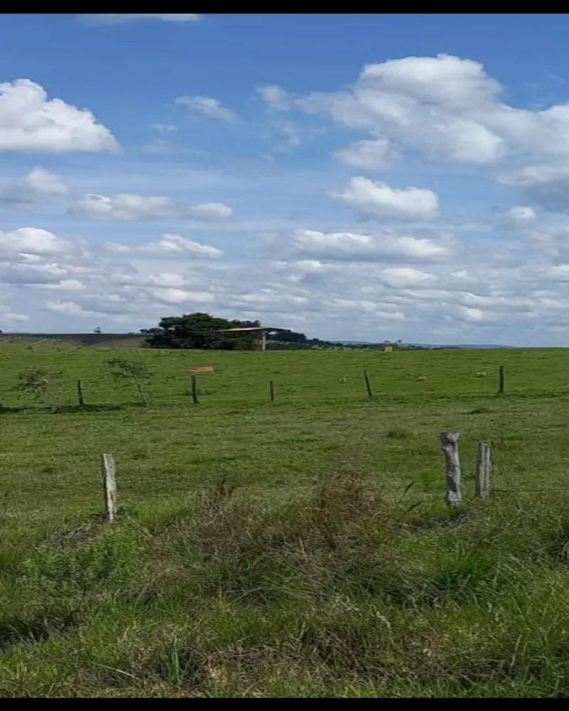 Fazenda à venda - Foto 4