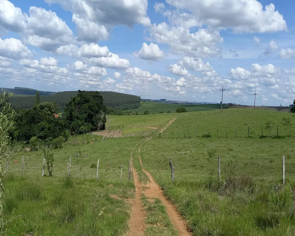 Fazenda à venda - Foto 2