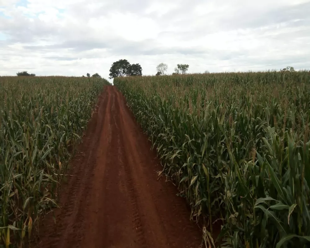 Fazenda à venda - Foto 1