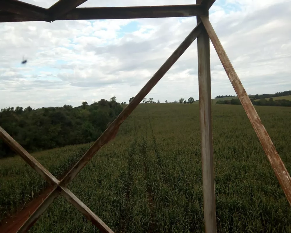 Fazenda à venda - Foto 4