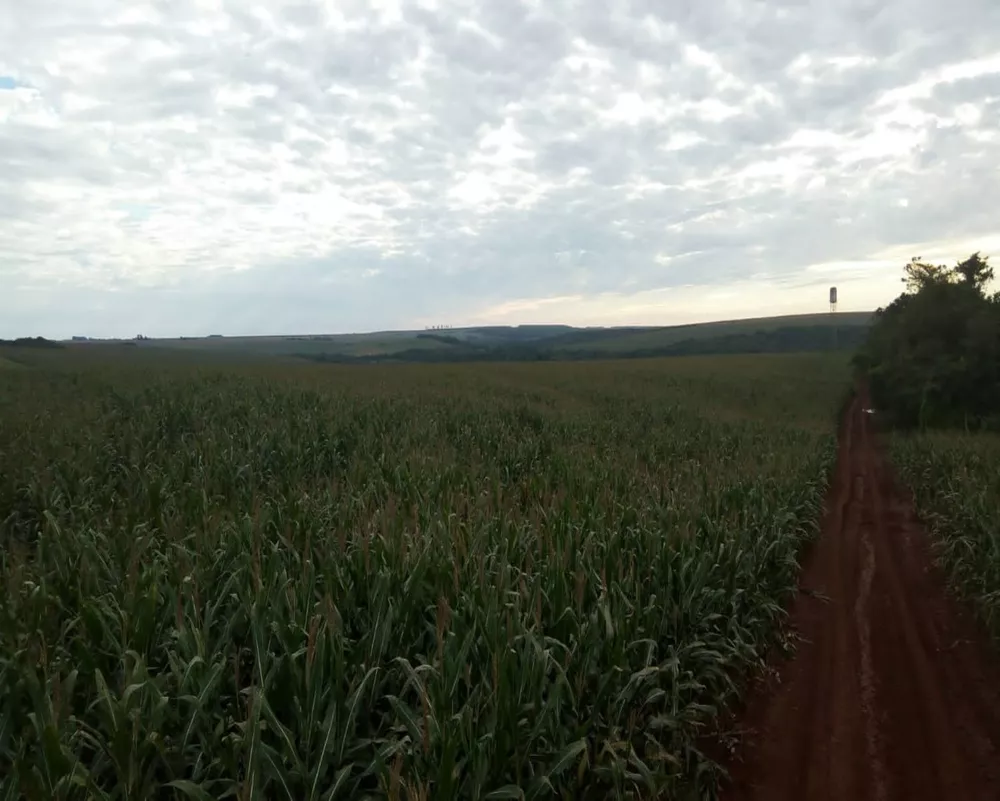 Fazenda à venda - Foto 8