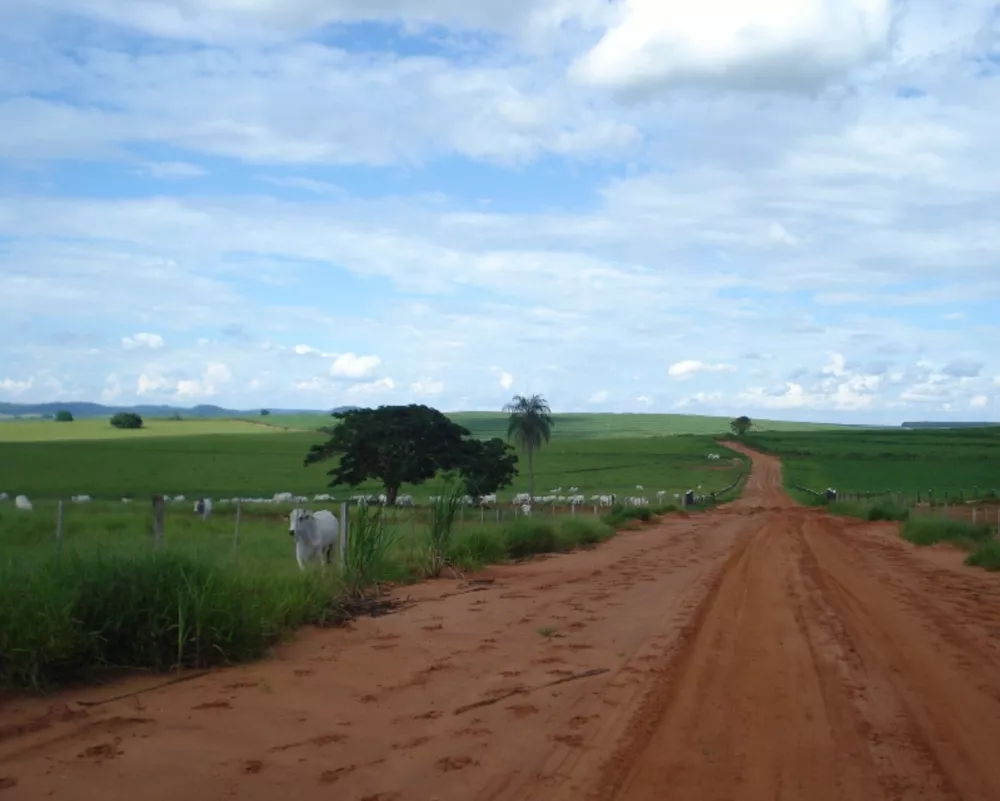 Fazenda à venda - Foto 1